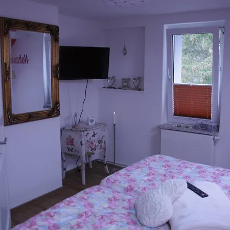 Apartment Am Geiseltalsee Mit Sauna